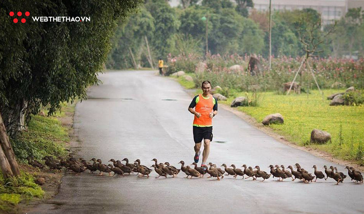 Ngắm cung đường chạy mê hồn của Ecopark Marathon 2019