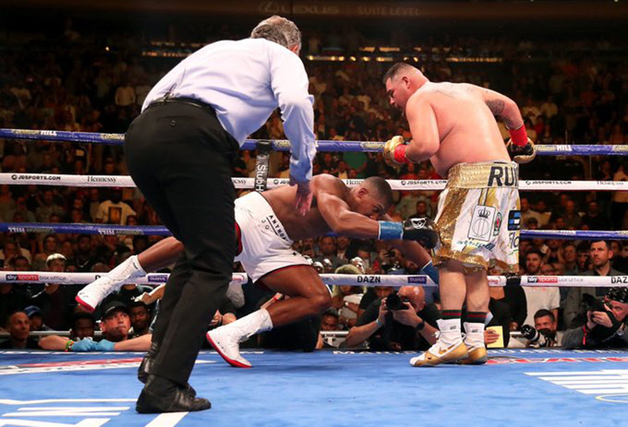 Vì sao trọng tài xử Andy Ruiz Jr thắng dù Joshua đã đứng dậy? Vì sao trọng tài xử Andy Ruiz Jr thắng dù Joshua đã đứng dậy?