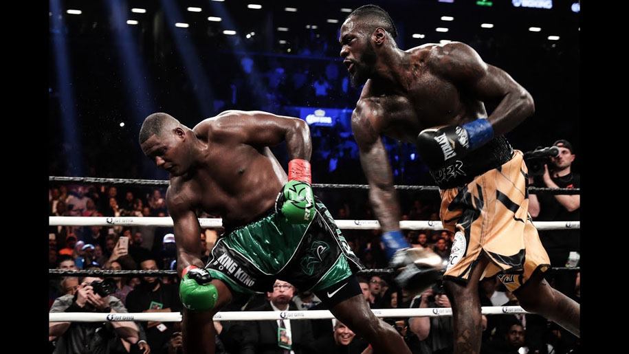 Luis Ortiz: “Khi Wilder thua, cứ gọi là nhà vô địch, khỏi cần nhượng quyền” Luis Ortiz: “Khi Wilder thua, cứ gọi là nhà vô địch, khỏi cần nhượng quyền”