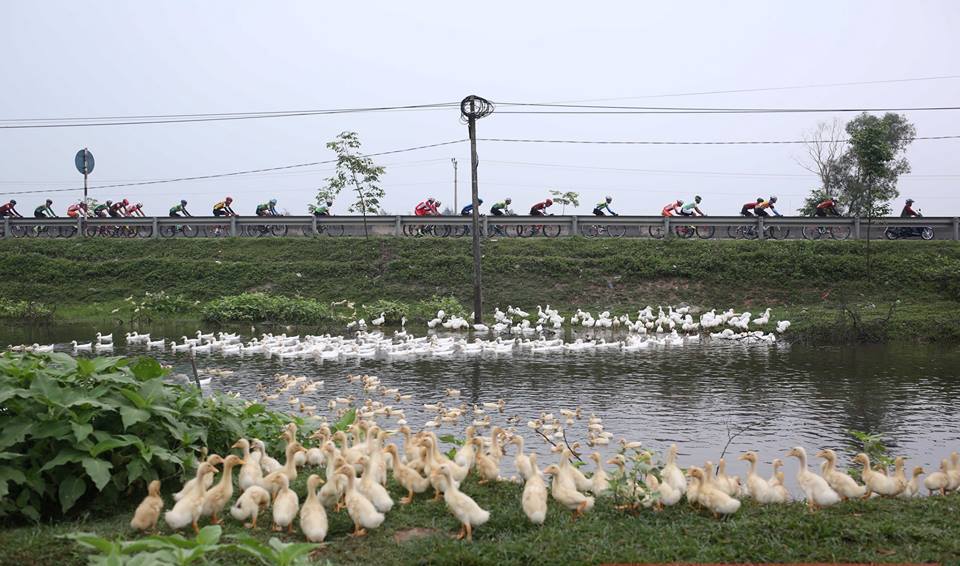 Các tay đua vượt nắng gió, chinh phục gần 200 km tại chặng 2 Cúp Truyền hình 2019