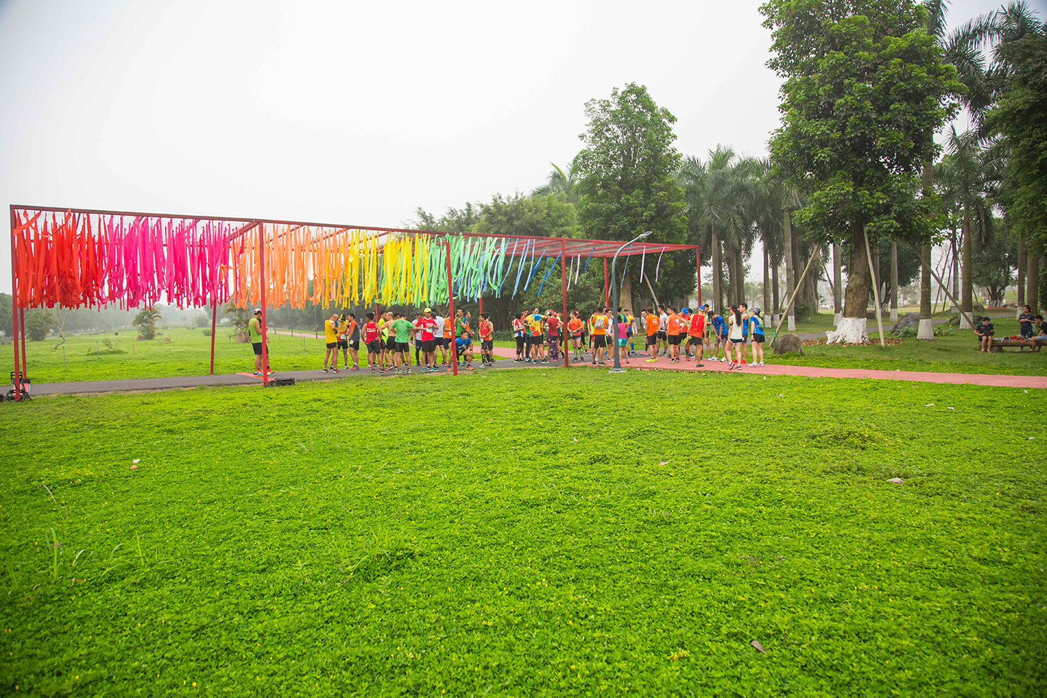 Mục kích đường chạy marathon Hoa vàng trên cỏ xanh Ecopark