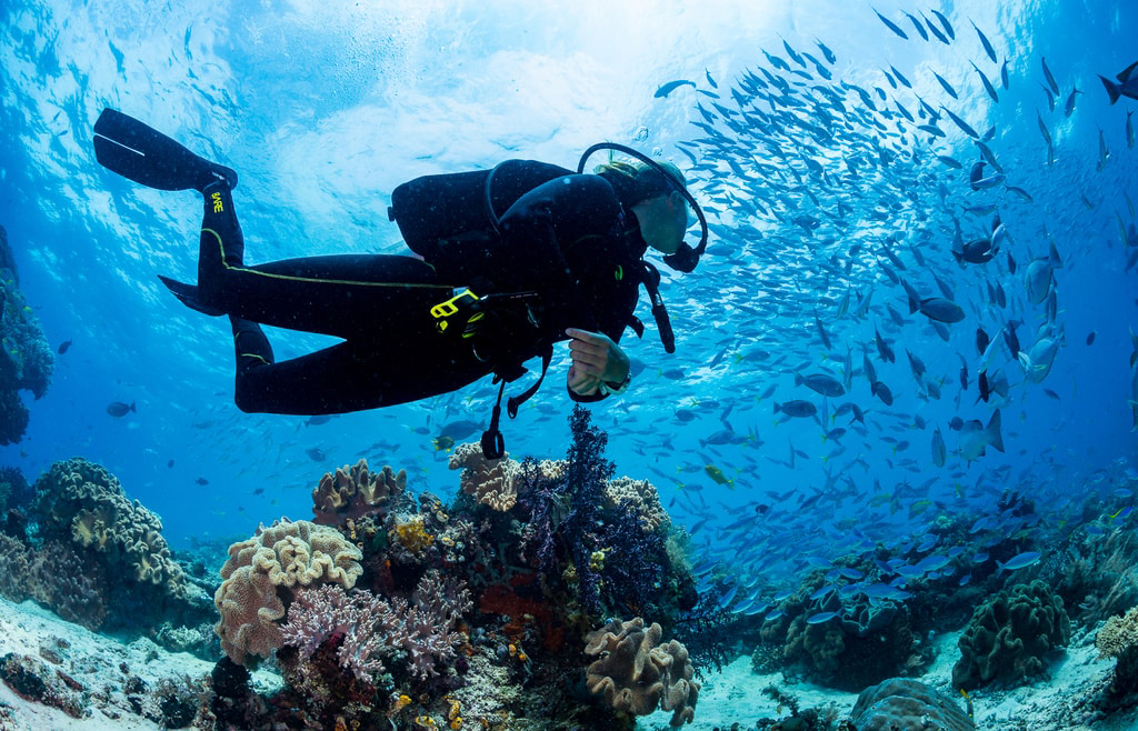 Nha Trang - điểm đến thú vị của những môn thể thao hấp dẫn Nha Trang - điểm đến thú vị của những môn thể thao hấp dẫn