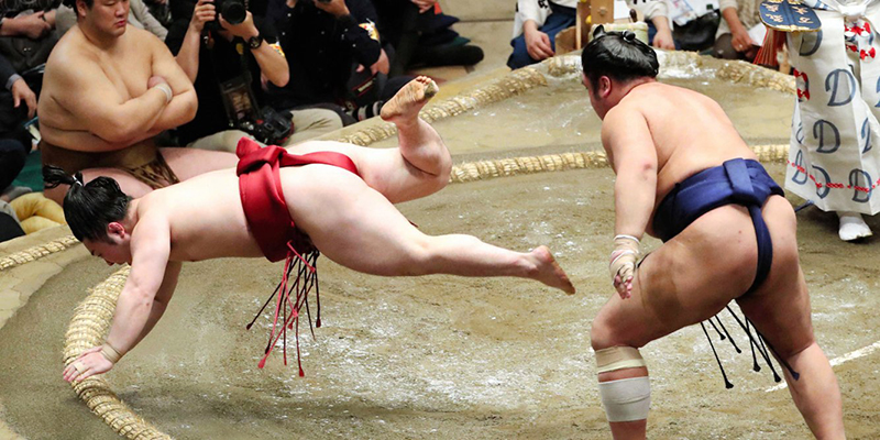 Ông Trump khoái Sumo tới mức nào? Ông Trump khoái Sumo tới mức nào?