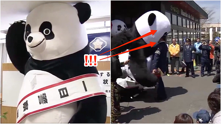 Sốc không, cảnh gấu panda cụng đầu làm cảnh sát khuỵu gối? Sốc không, cảnh gấu panda cụng đầu làm cảnh sát khuỵu gối?
