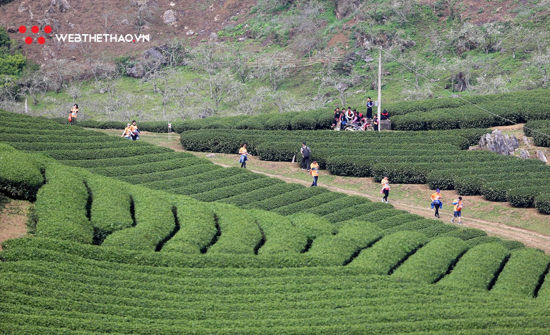 Những trải nghiệm chỉ có tại Vietnam Trail Marathon 2019