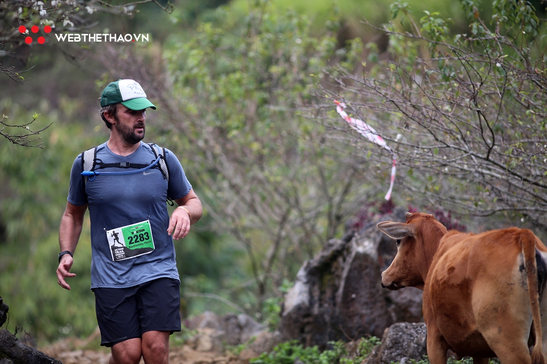 Hoa mận trắng cung đường mòn Mộc Châu đón hơn 3.000 VĐV chạy Vietnam Trail Marathon 2020 Hoa mận trắng cung đường mòn Mộc Châu đón hơn 3.000 VĐV chạy Vietnam Trail Marathon 2020