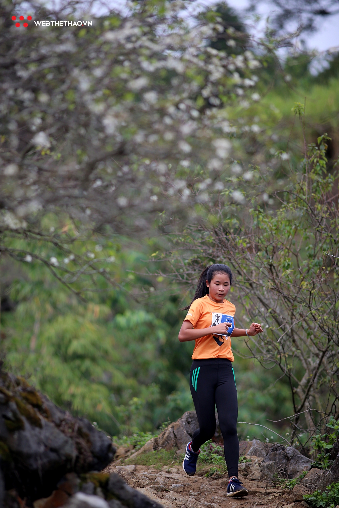 Hoa mận trắng cung đường mòn Mộc Châu đón hơn 3.000 VĐV chạy Vietnam Trail Marathon 2020 Hoa mận trắng cung đường mòn Mộc Châu đón hơn 3.000 VĐV chạy Vietnam Trail Marathon 2020