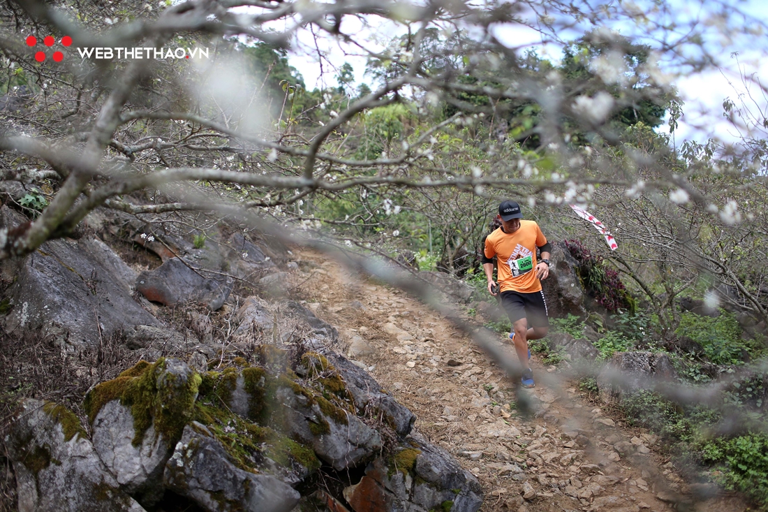 Hoa mận trắng cung đường mòn Mộc Châu đón hơn 3.000 VĐV chạy Vietnam Trail Marathon 2020 Hoa mận trắng cung đường mòn Mộc Châu đón hơn 3.000 VĐV chạy Vietnam Trail Marathon 2020