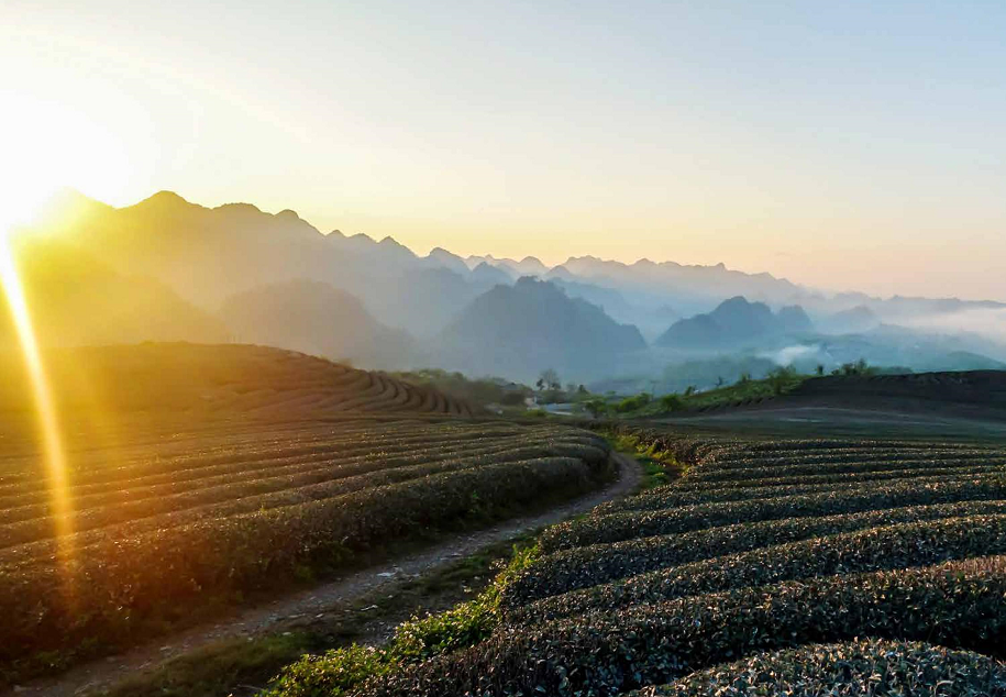 Thông tin dành cho vận động viên di chuyển tại VTM2020