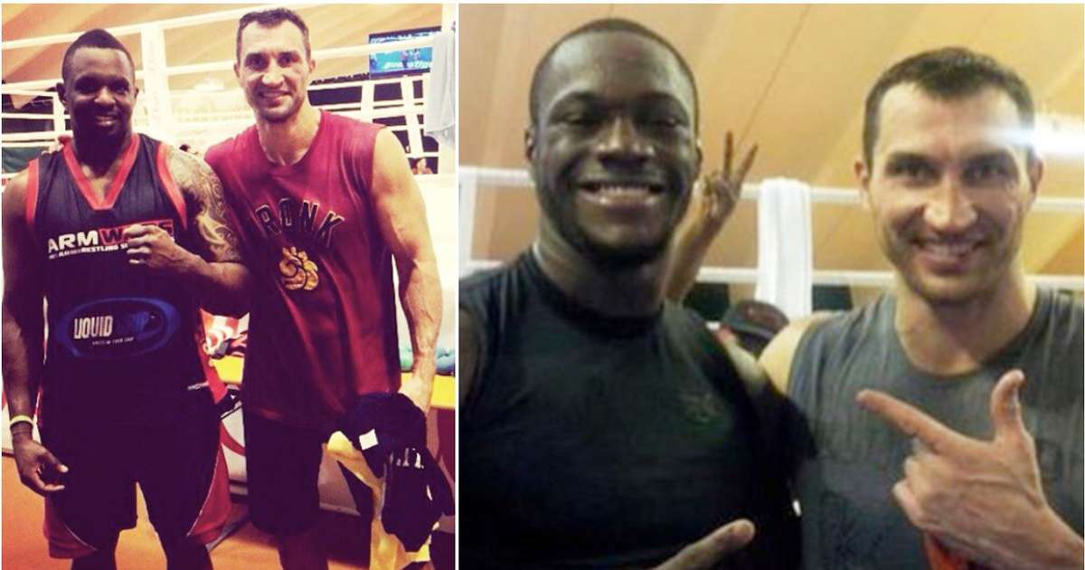 Dallian Whyte phớt lờ quy tắc ngầm tuyên bố: "Tôi từng thấy Klitschko KO Wilder!"