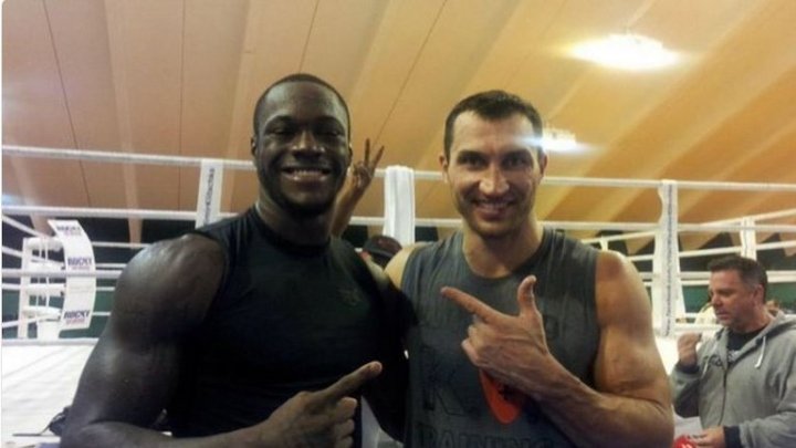 Dallian Whyte phớt lờ quy tắc ngầm tuyên bố: Tôi từng thấy Klitschko KO Wilder!