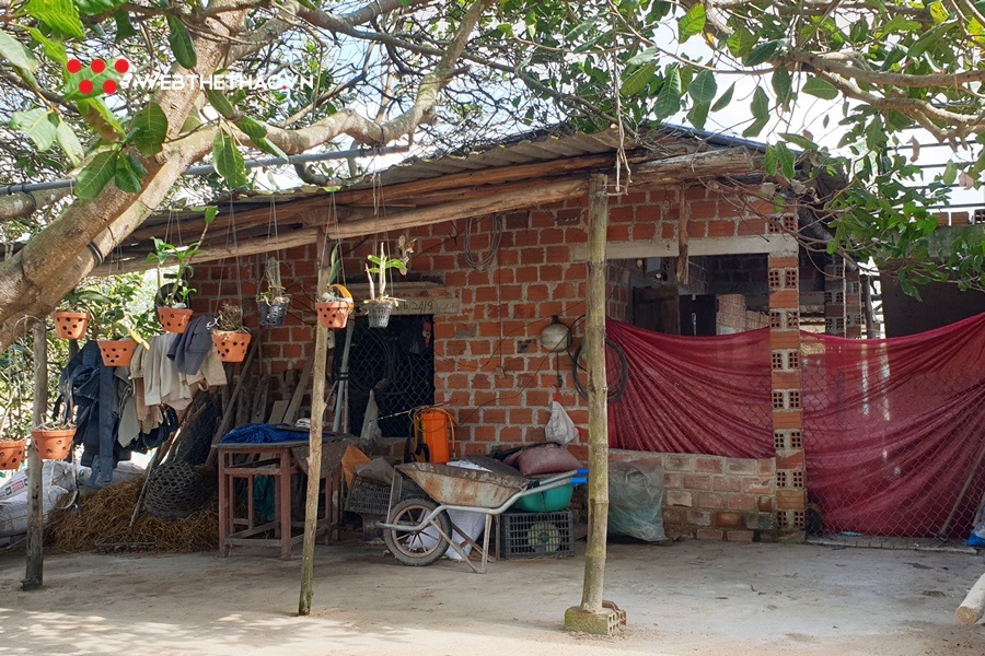 Về quê Hồng Lệ chăn lợn rừng, đuổi gà chạy bộ và ăn cà xanh chấm mắm cá Về quê Hồng Lệ chăn lợn rừng, đuổi gà chạy bộ và ăn cà xanh chấm mắm cá