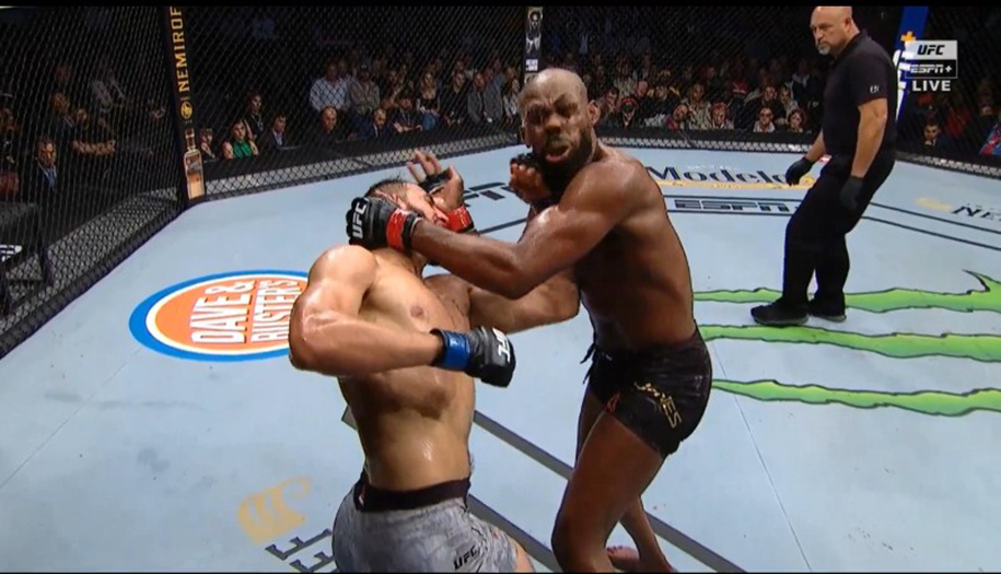 UFC 247: Jon Jones bảo vệ đai đầy khó khăn trước Dominick Reyes