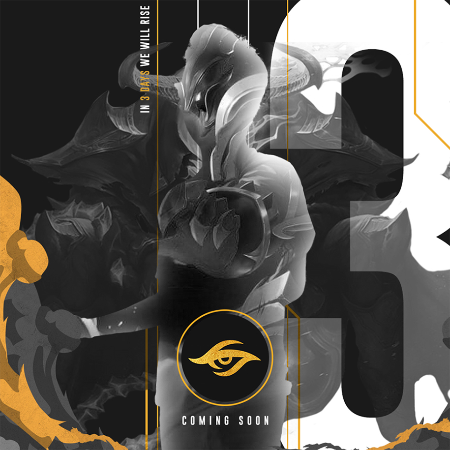 Các tuyển thủ Lowkey Esports xác nhận tên mới của đội: Team Secret