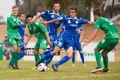 Nhận định Port Melbourne Sharks vs Melbourne Knights 15h45, 14/02 (Giải ngoại hạng Úc bang Victoria)