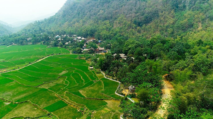 Người đẹp Slovakia vô địch 70km Vietnam Jungle Marathon 2019 chia sẻ bí quyết chinh phục núi rừng Pù Luông Người đẹp Slovakia vô địch 70km Vietnam Jungle Marathon 2019 chia sẻ bí quyết chinh phục núi rừng Pù Luông