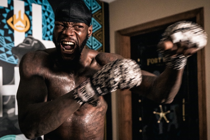 Thành tích lẫy lừng của Deontay Wilder bị một bản infographic cũ "bóc phốt"