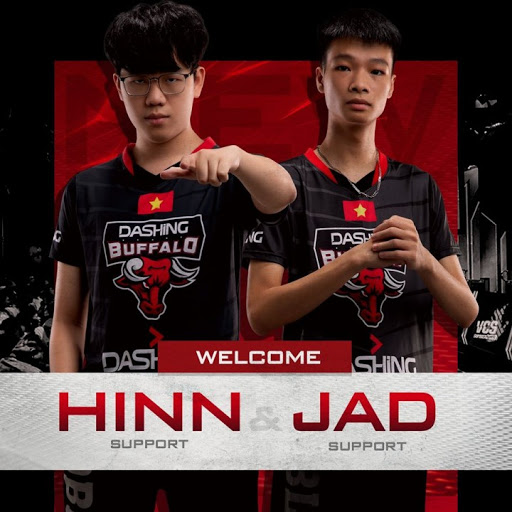 Hinn: Team đầu tiên em nghĩ đến khi rời FL là Dashing Buffalo