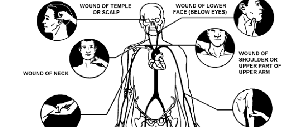 Sự thật về huyệt đạo
