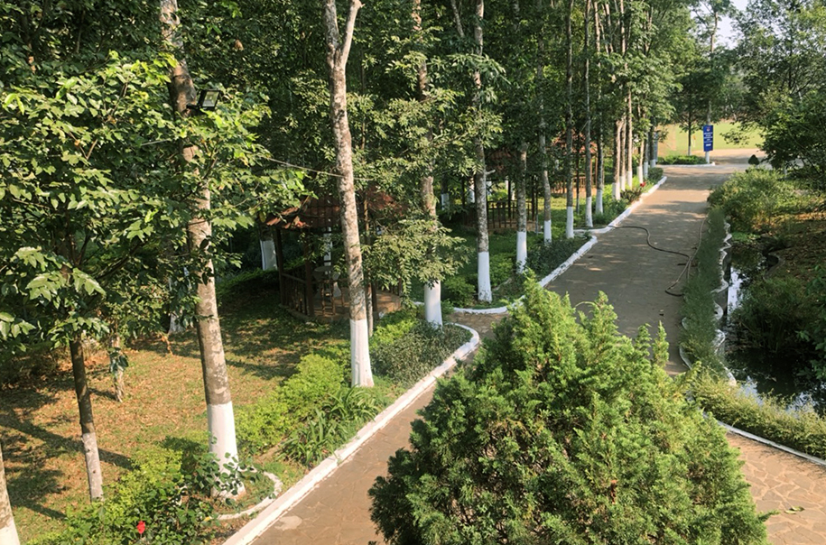 Đại bản doanh HAGL vắng lặng mùa COVID-19