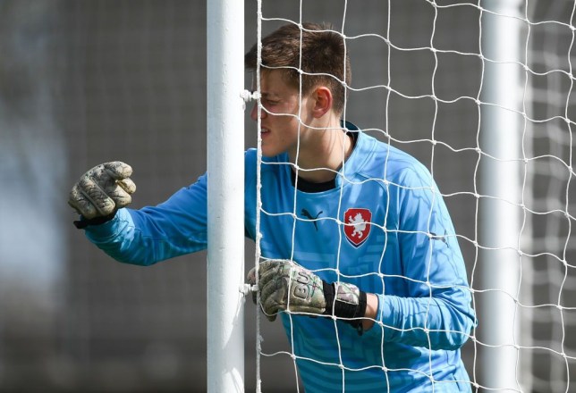 Radek Vitek: Tân binh tuổi teen của MU là ai?
