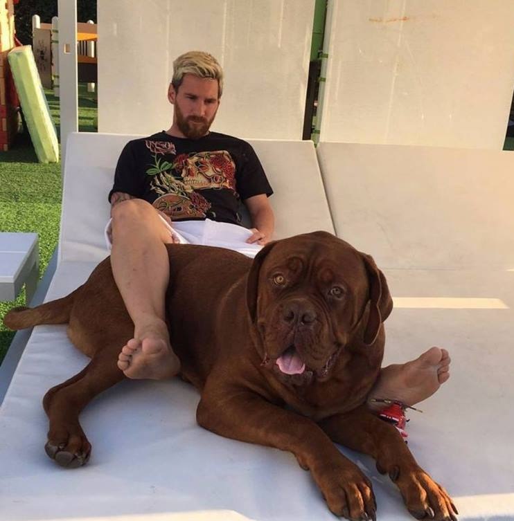 Choáng ngợp trước biệt thự triệu đô của Messi ở Barcelona Choáng ngợp trước biệt thự triệu đô của Messi ở Barcelona