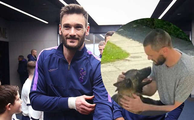 Chú chó hơn 400 triệu của Hugo Lloris là giống gì, vì sao đắt như vậy?