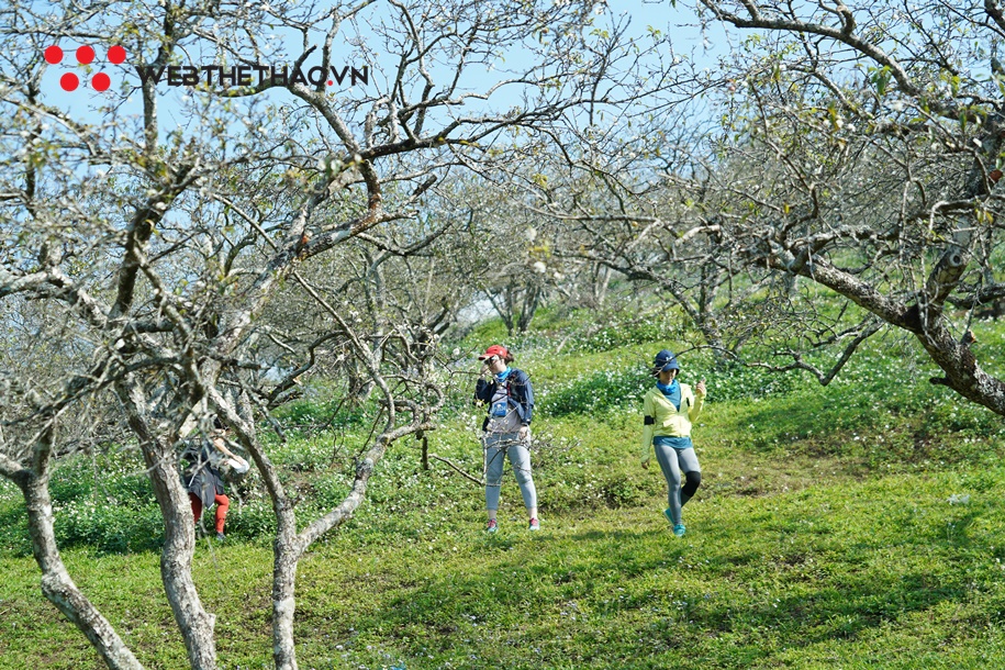 Hoa hậu Thu Thủy thử sức cự ly khủng tại Vietnam Trail Marathon 2020 Hoa hậu Thu Thủy thử sức cự ly khủng tại Vietnam Trail Marathon 2020