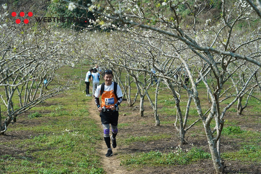 Những hình ảnh khó đỡ tại Vietnam Trail Marathon 2020 Những hình ảnh khó đỡ tại Vietnam Trail Marathon 2020