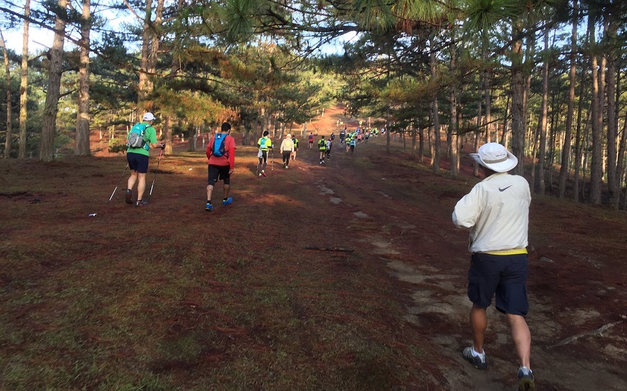 Cự ly 100km của Dalat Ultra Trail 2020 có gì hấp dẫn? Cự ly 100km của Dalat Ultra Trail 2020 có gì hấp dẫn?