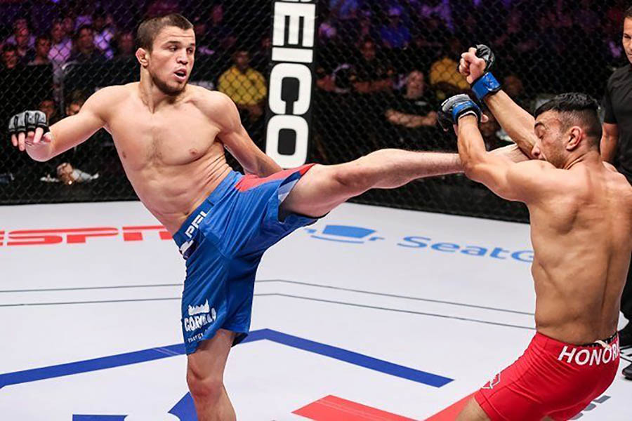 UFC mang “em họ bất bại” của Khabib Nurmagomedov tới sự kiện UFC 249