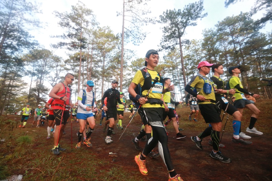 Cự ly 21km Dalat Ultra Trail 2020 có gì mới? Cự ly 21km Dalat Ultra Trail 2020 có gì mới?