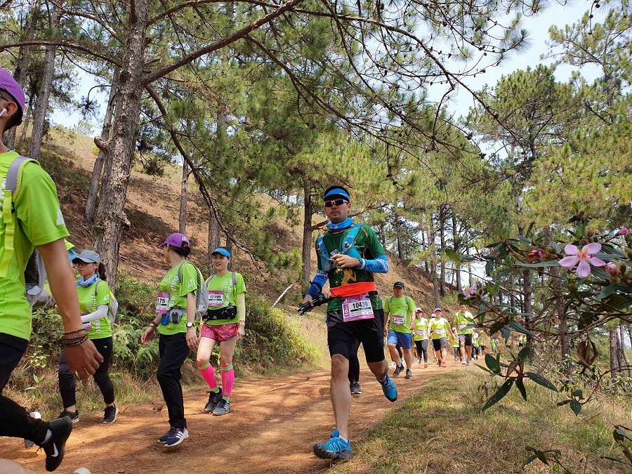 Cự ly 21km Dalat Ultra Trail 2020 có gì mới? Cự ly 21km Dalat Ultra Trail 2020 có gì mới?
