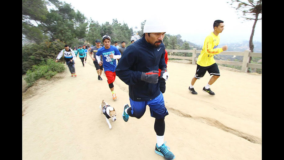Những bài tập để cải thiện sức bền tim phổi (cardio) trong võ thuật (Phần 1)