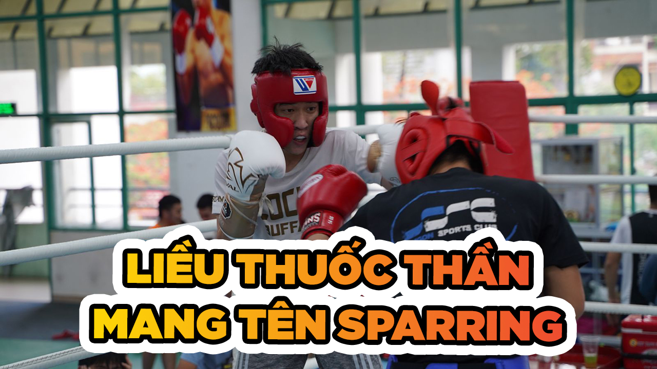 Ý nghĩa và lợi ích của việc sparring trong võ thuật đối kháng