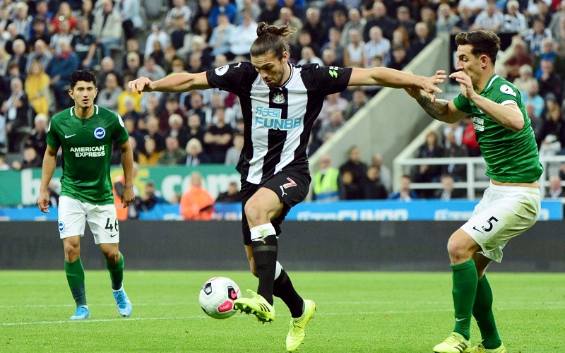Nhận định Newcastle vs Brighton, 20h00 ngày 20/09, Ngoại hạng Anh