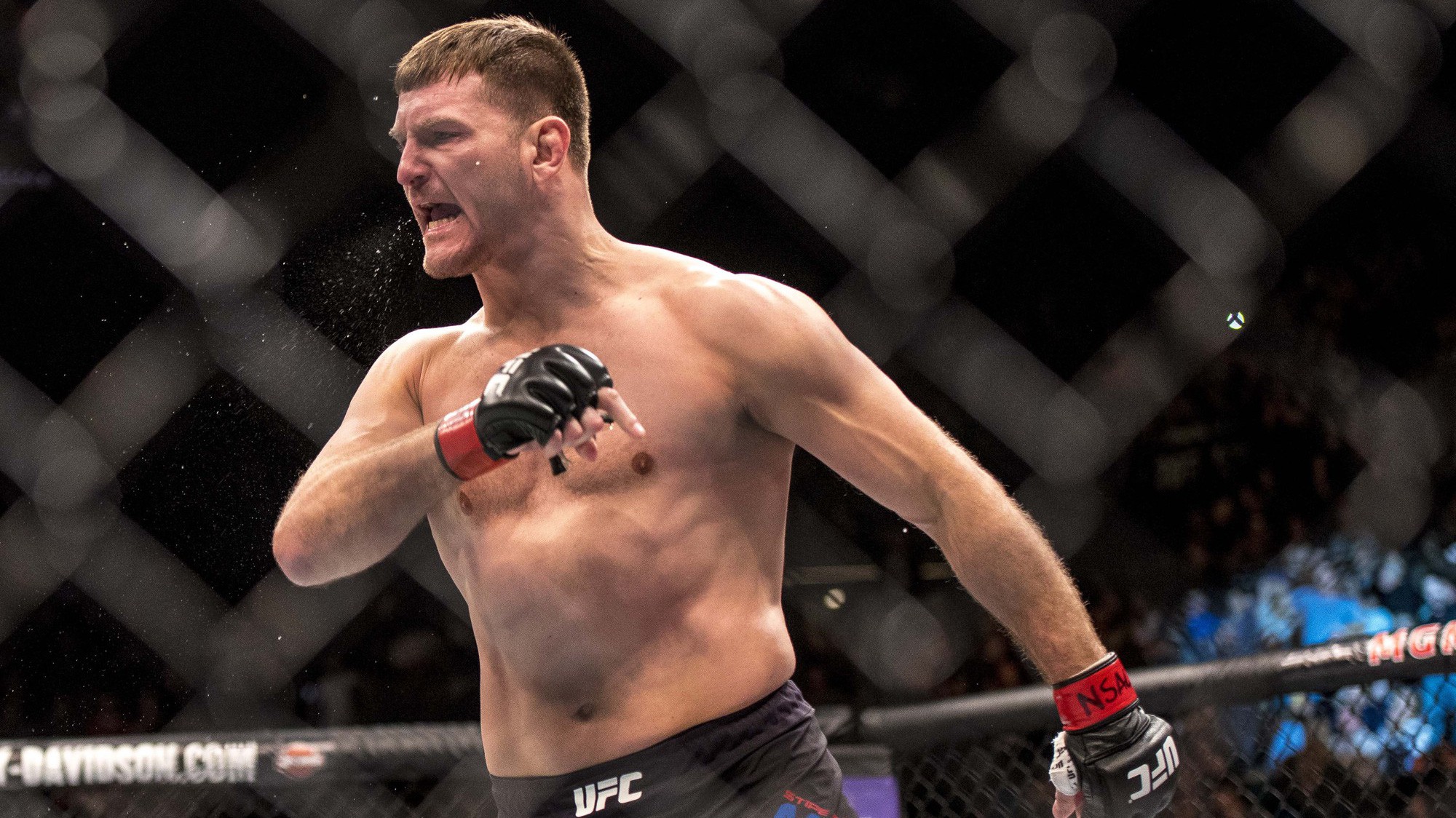 Stipe Miocic bực dọc khi UFC chọn Derick Lewis để tranh đai của Daniel Cormier