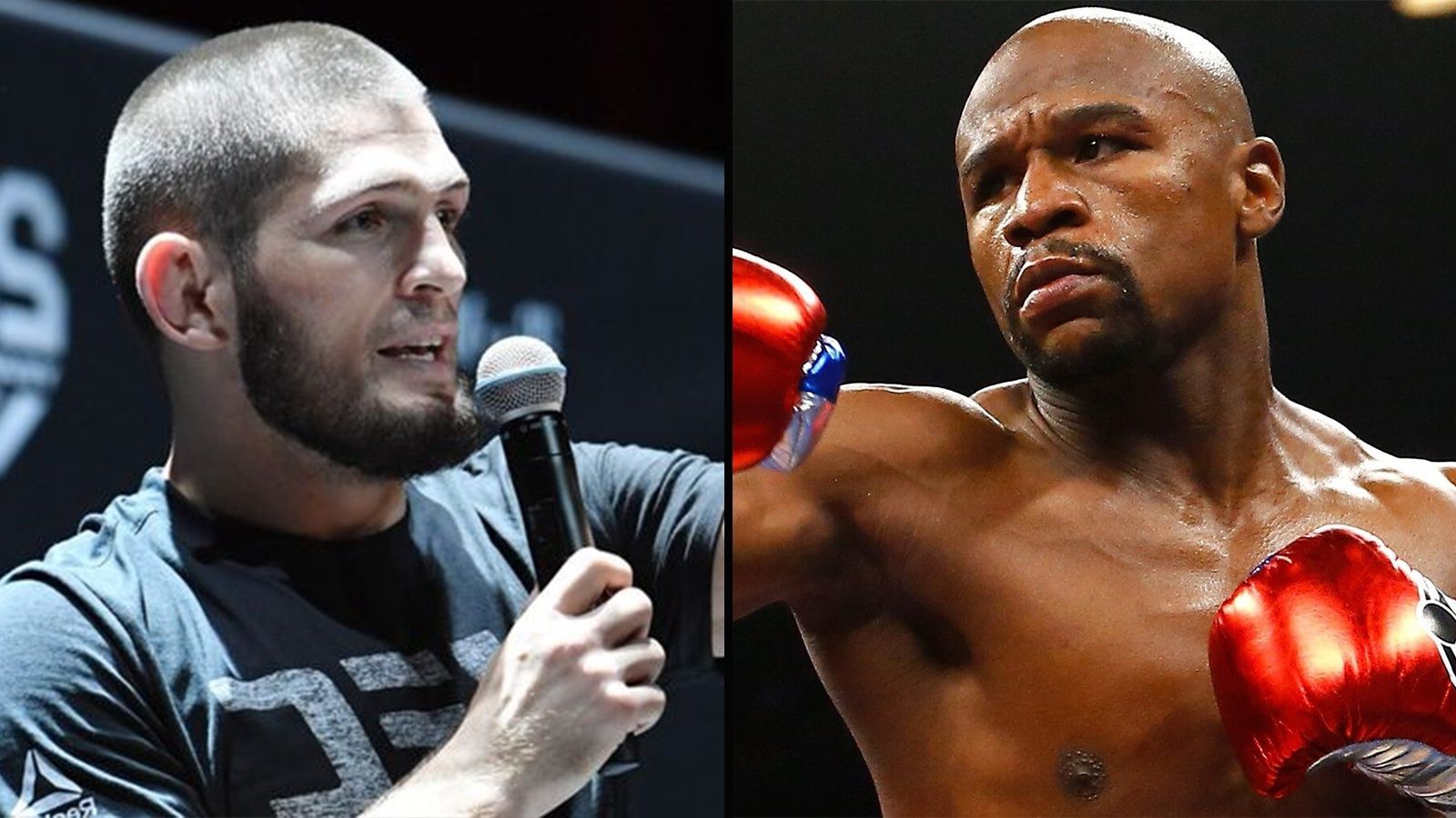 Daniel Cormier: Khabib định vật nhau với Mayweather trên sàn Quyền Anh thật à?