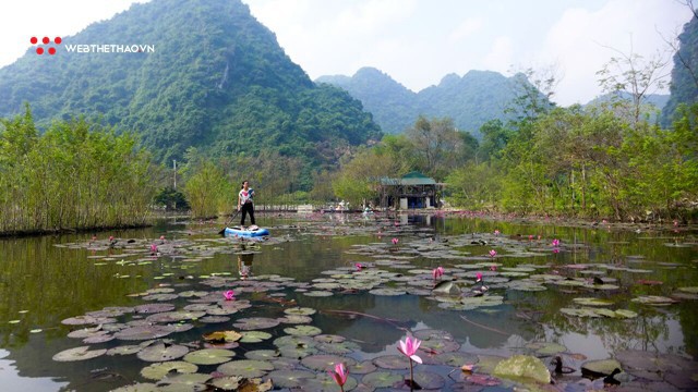 Khám phá rừng hoa súng bằng mái chèo Kayak