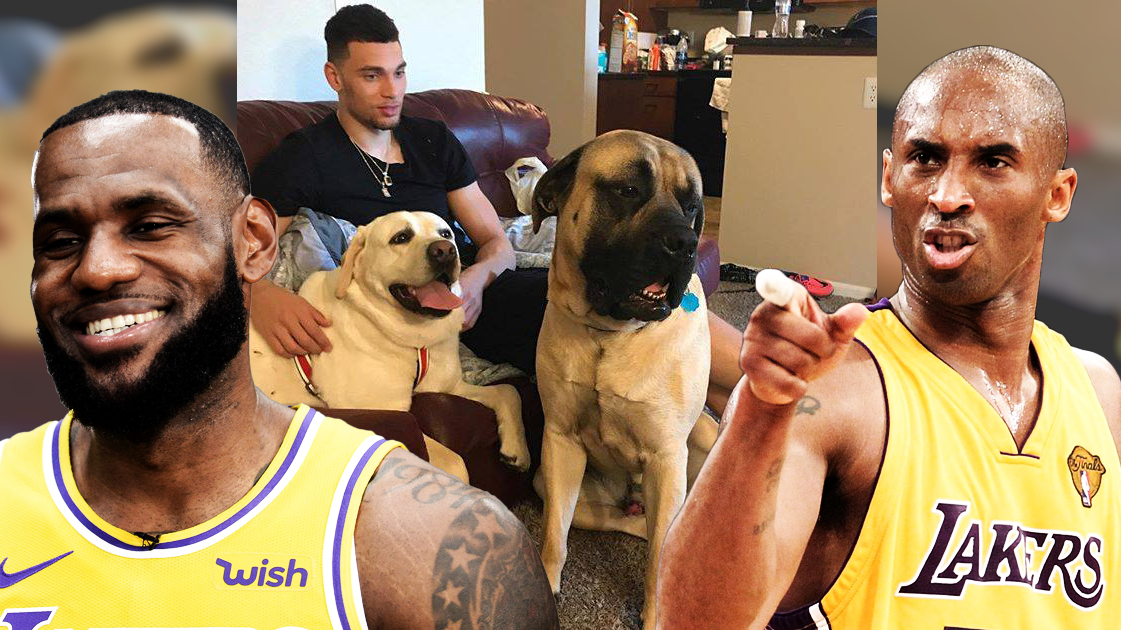 Sao Chicago Bulls gây sốc khi đặt tên LeBron James và Kobe Bryant cho cún cưng