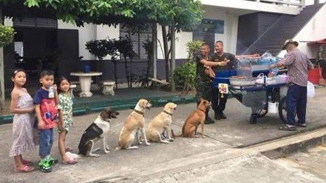 Hành trình xếp hàng mua vé xem ĐT Việt Nam qua “tiếng than” của cư dân mạng