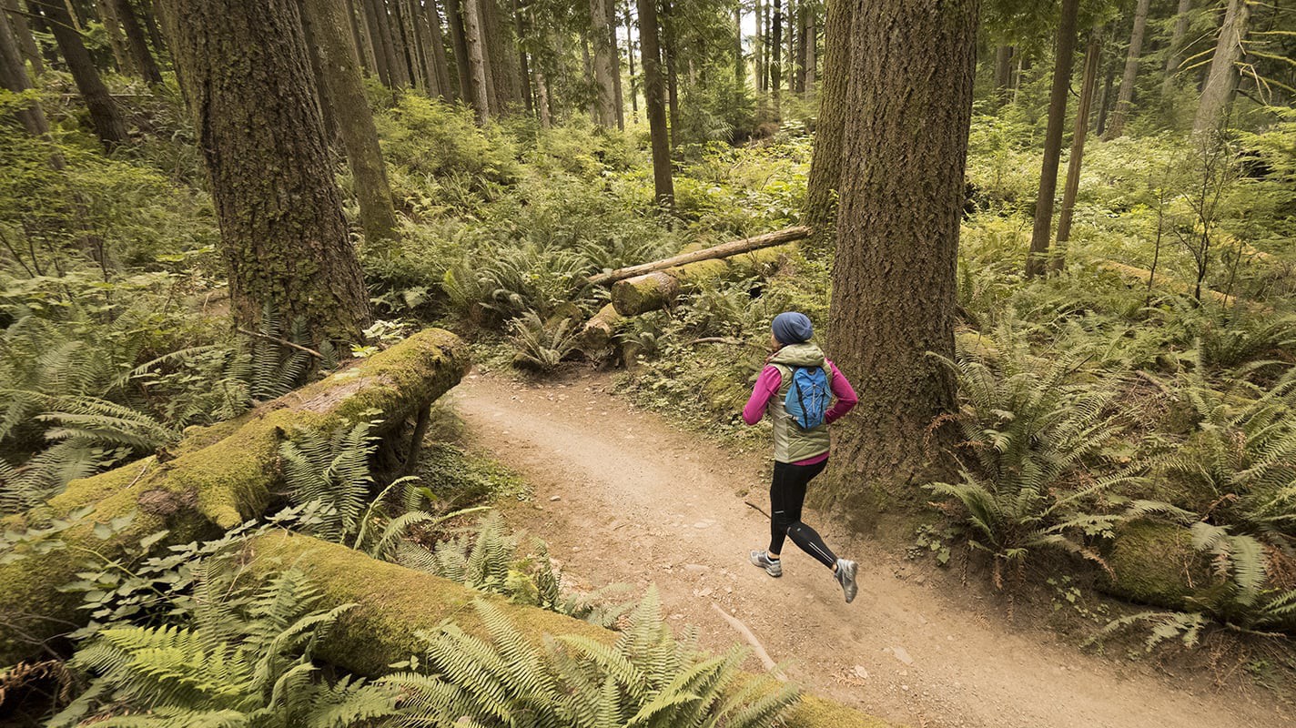 6 lời khuyên "vàng ngọc" cho người mới chạy trail
