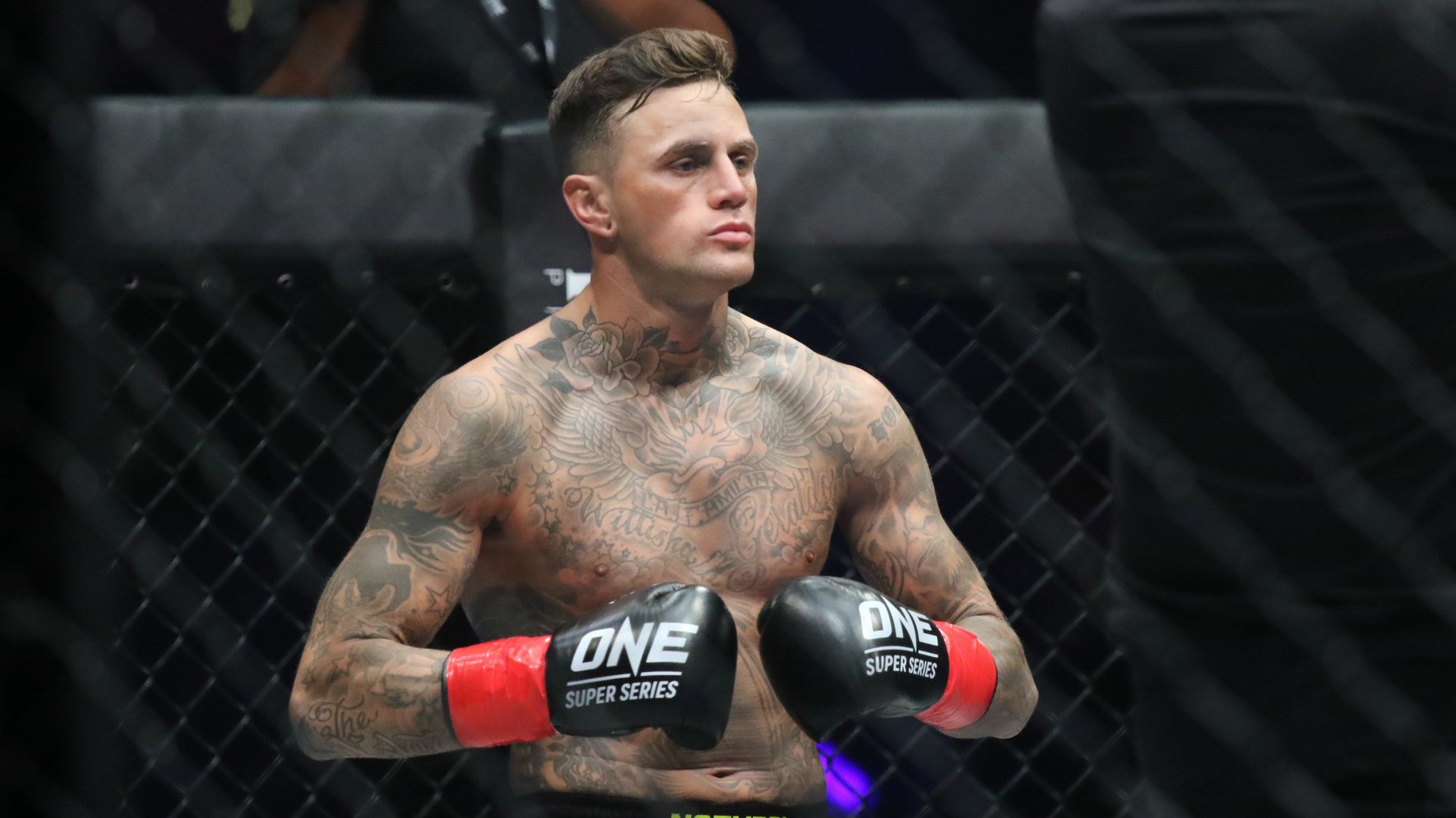 Nieky Holzken: Cận cảnh gương mặt Nam thần Kickboxing đã khiến chị em "đổ rầm"