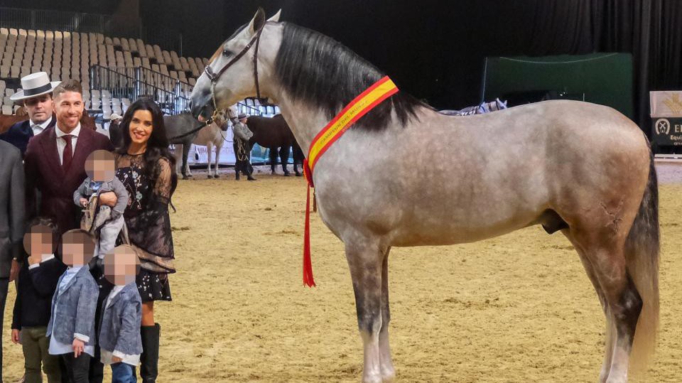 Ngựa cưng của Sergio Ramos vô địch thế giới