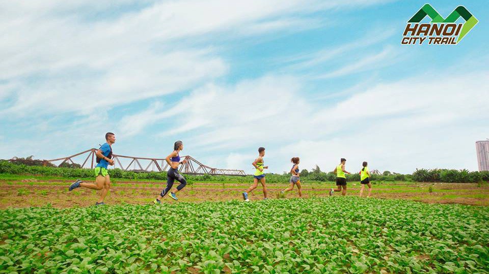 Tại sao nên tham gia những giải chạy được cấp phép?