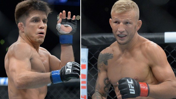 Henry Cejudo đụng độ T.J. Dillashaw: Tia sáng cuối cùng cho hạng cân Flyweight UFC?