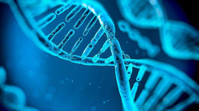 Giải mã gene - Hướng đi mới cho thể thao?