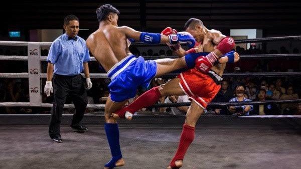 Muay Thái và Kickboxing khác nhau ở những điểm nào?