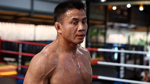Dù đã nghỉ hưu, phong độ của Cung Lê vẫn không hề giảm