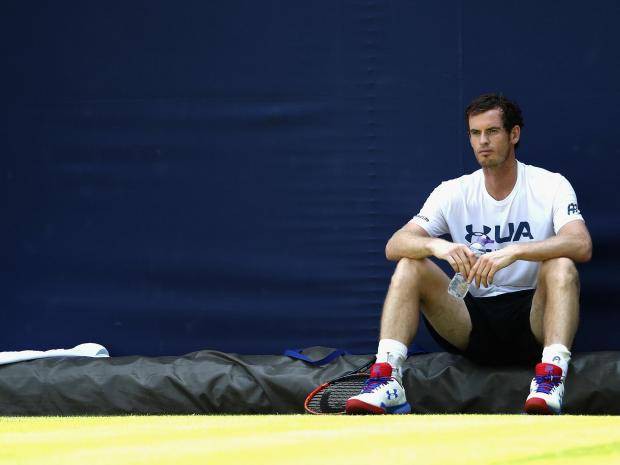 Andy Murray mạo hiểm đốt cháy giai đoạn để tái xuất ở Wimbledon? - Ảnh 5. Andy Murray mạo hiểm đốt cháy giai đoạn để tái xuất ở Wimbledon? - Ảnh 5.